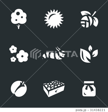 Vector Set of Gardening Icons. Vector Set of Gardening Icons. 31438221