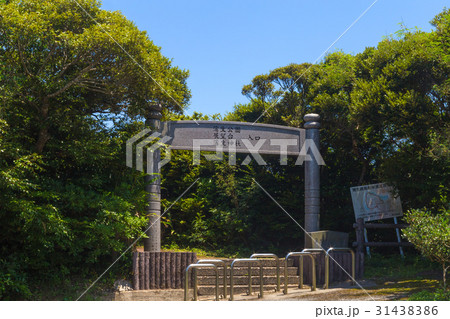 蒲生崎観光公園 31438386