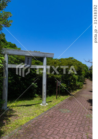 蒲生崎観光公園 31438392