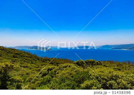蒲生崎観光公園 蒲生崎観光公園 31438396