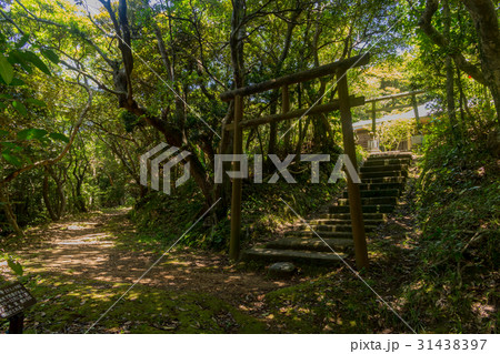 蒲生崎観光公園 蒲生崎観光公園 31438397