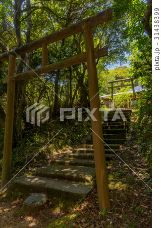 蒲生崎観光公園 31438399