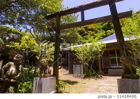 蒲生崎観光公園 31438400