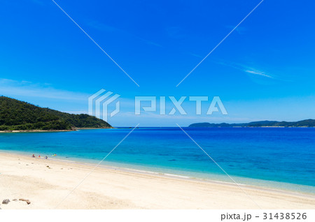 倉崎海岸 31438526