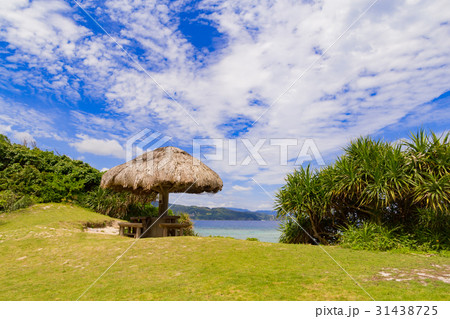 大浜海浜公園 大浜海浜公園 31438725