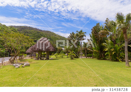 大浜海浜公園 31438728