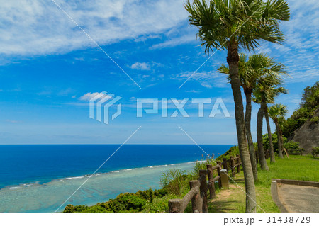 大浜海浜公園 大浜海浜公園 31438729