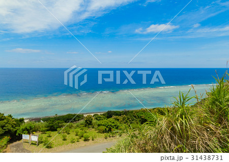 大浜海浜公園 大浜海浜公園 31438731