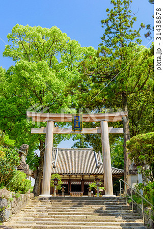 若宮社　大直禰子神社　 31438878