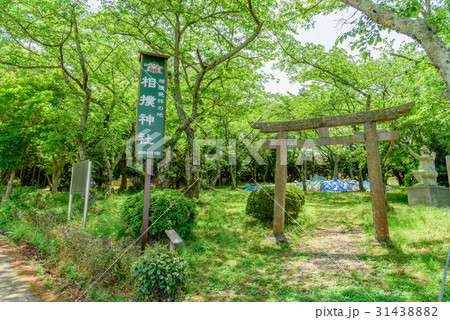 相撲神社 相撲神社 31438882