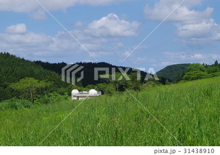 ポーラースター・神林 ポーラースター・神林 31438910