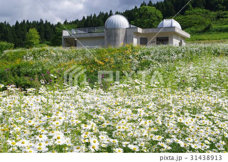 ポーラースター・神林 ポーラースター・神林 31438913