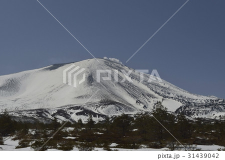 浅間山の雪景色・鬼押ハイウェー(群馬県) 浅間山の雪景色・鬼押ハイウェー(群馬県) 31439042