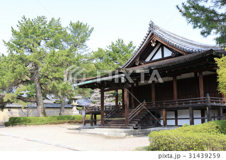 法隆寺 31439259