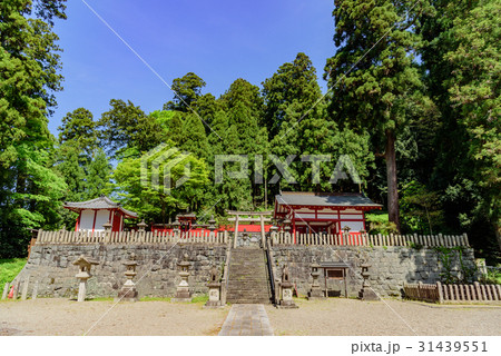 春日神社 春日神社 31439551