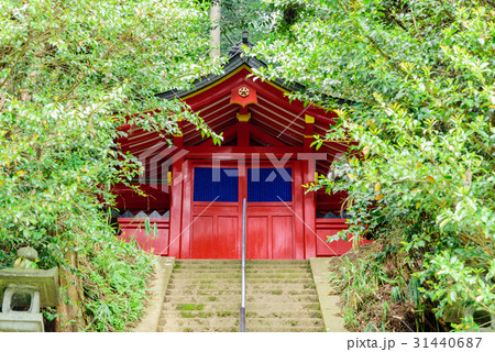 八咫烏神社 八咫烏神社 31440687