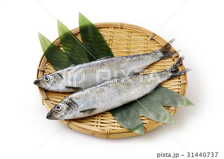 にしん にしん 31440737