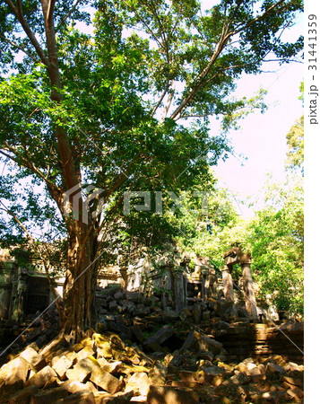 ベンメリア遺跡 ベンメリア遺跡 31441359