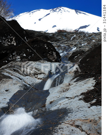 幻の滝と富士山 31441384