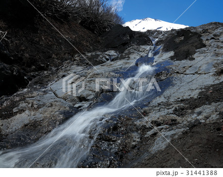 幻の滝と富士山 31441388