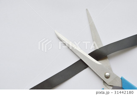 scissors blade cutting black cloth ribbon  31442180