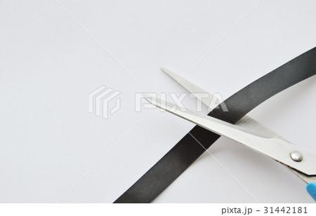 scissors blade cutting black cloth ribbon scissors blade cutting black cloth ribbon 31442181