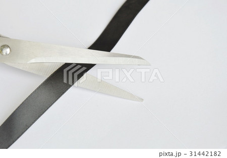 scissors blade cutting black cloth ribbon  31442182