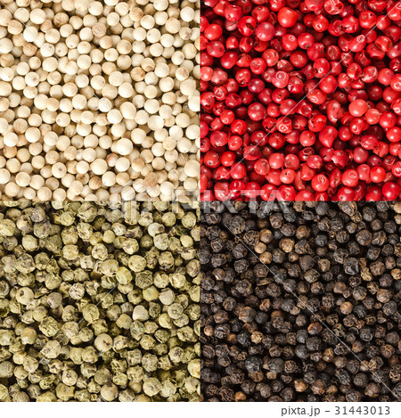 Four variations of peppercorns in a square Four variations of peppercorns in a square 31443013