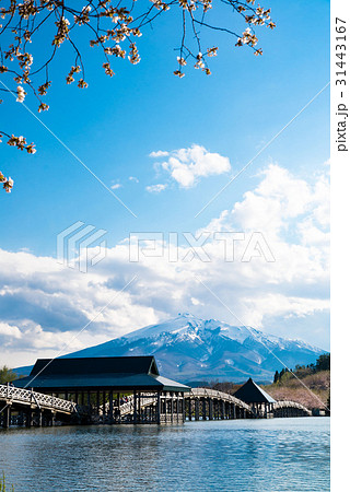 青森 鶴の舞橋と岩木山 青森 鶴の舞橋と岩木山 31443167