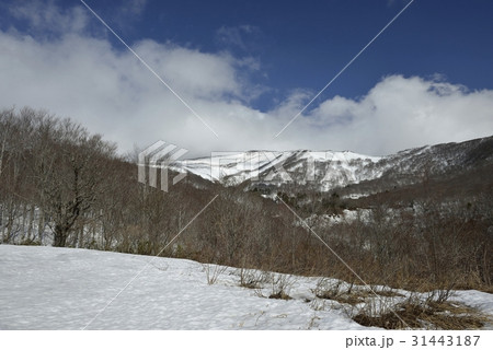栗駒山の山頂を望む(宮城県) 栗駒山の山頂を望む(宮城県) 31443187