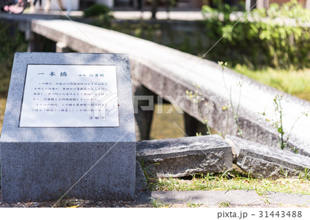 一本橋 一本橋 31443488