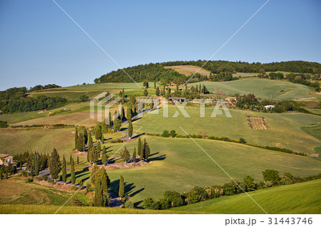 Panoramic view of a Italian landscape. Panoramic view of a Italian landscape. 31443746