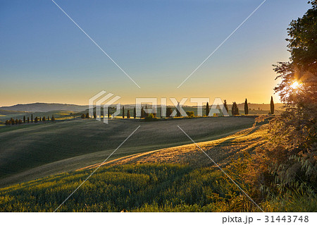 Panoramic view of a Italian landscape. Panoramic view of a Italian landscape. 31443748