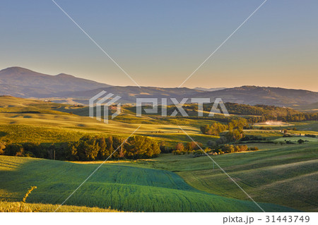 Panoramic view of a Italian landscape. Panoramic view of a Italian landscape. 31443749