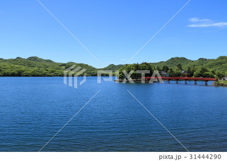 赤城大沼 31444290