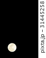 満月 31445258
