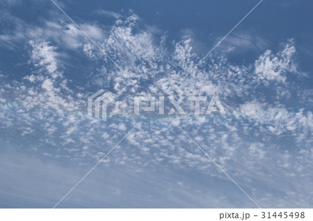 虹の空 虹の空 31445498