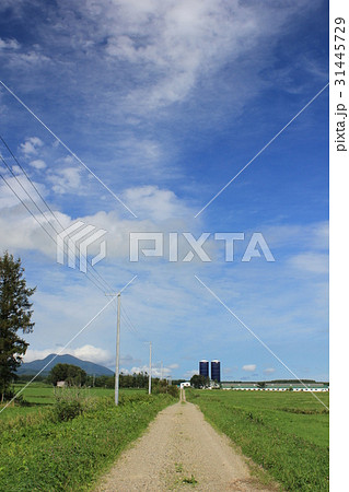 北根室ランチウェイ・２０１６・夏 31445729