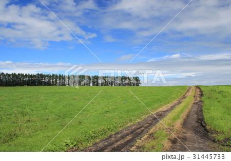 北根室ランチウェイ・2016・夏 北根室ランチウェイ・2016・夏 31445733