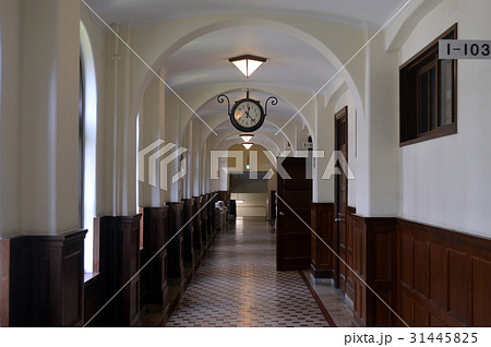 上智大学 上智大学 31445825