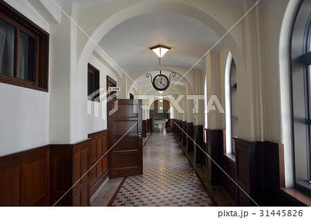 上智大学 31445826