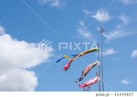 こいのぼり 31445857