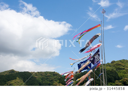 こいのぼり こいのぼり 31445858