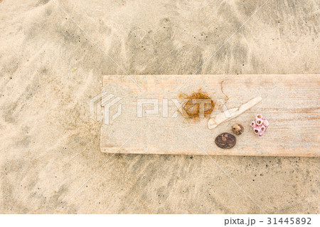 砂浜の漂流物 砂浜の漂流物 31445892
