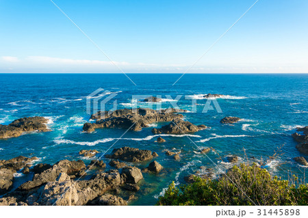 磯と太平洋 31445898