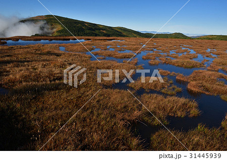 池ノ岳の池塘と平ヶ岳 31445939