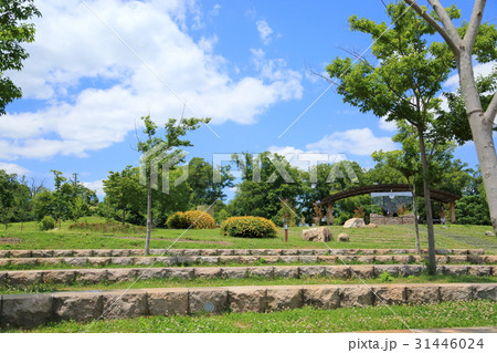 初夏の公園 31446024