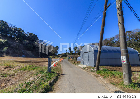 冬の本佐倉城の風景 31446518