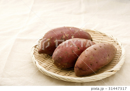 サツマイモ 31447317