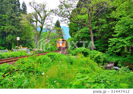 秋田内陸縦貫鉄道 秋田内陸縦貫鉄道 31447412